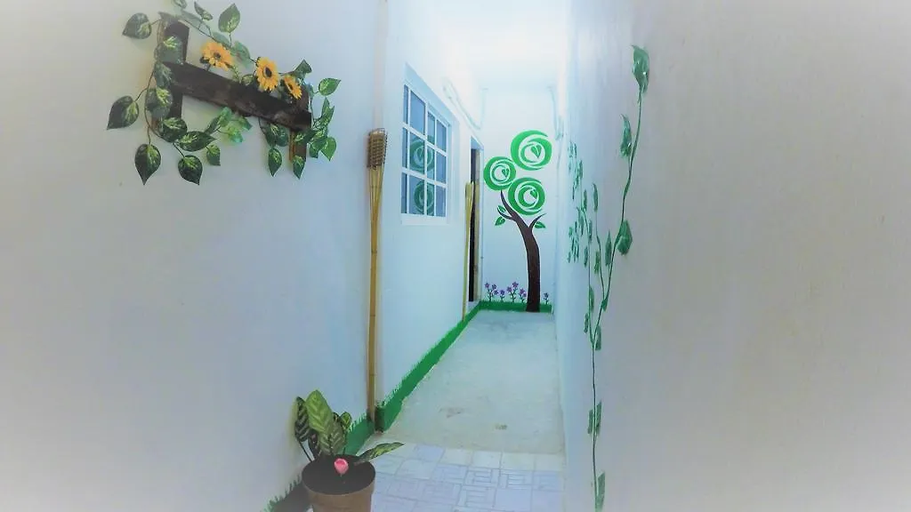 La Casa Del Arbol Hotel Cancun Guest house