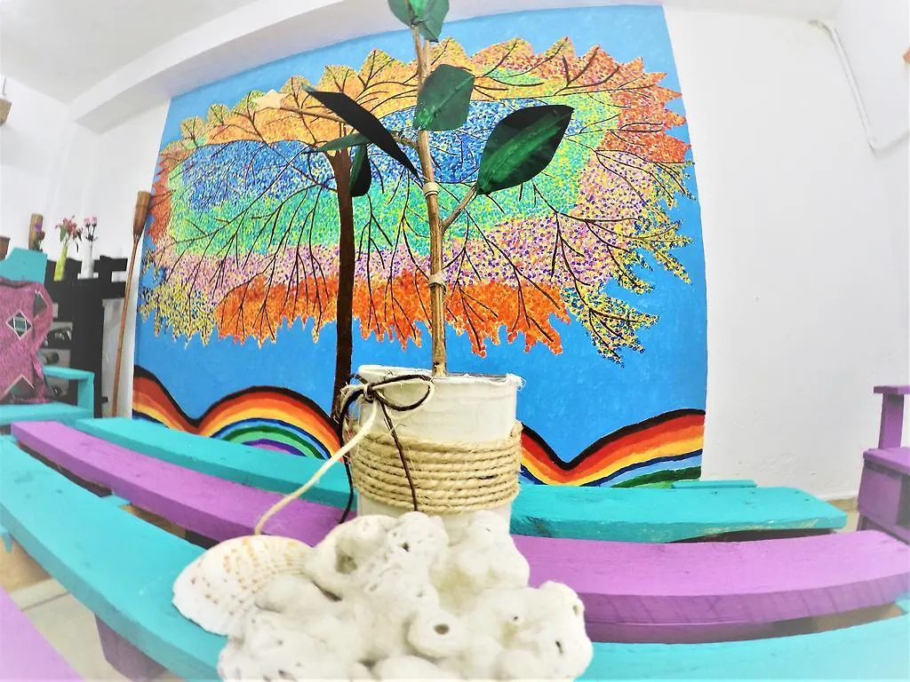 La Casa Del Arbol Hotel Cancun