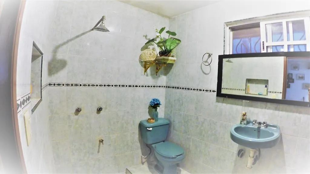Pensionat La Casa Del Arbol Hotell Cancún