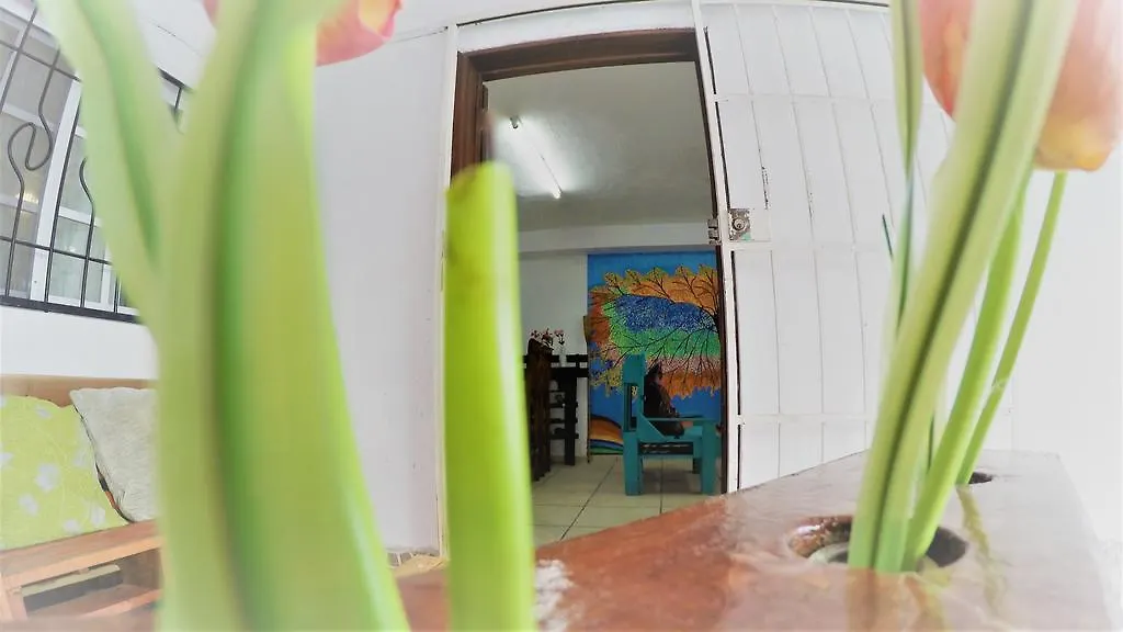 La Casa Del Arbol Hotell Cancún 0*,  Mexiko